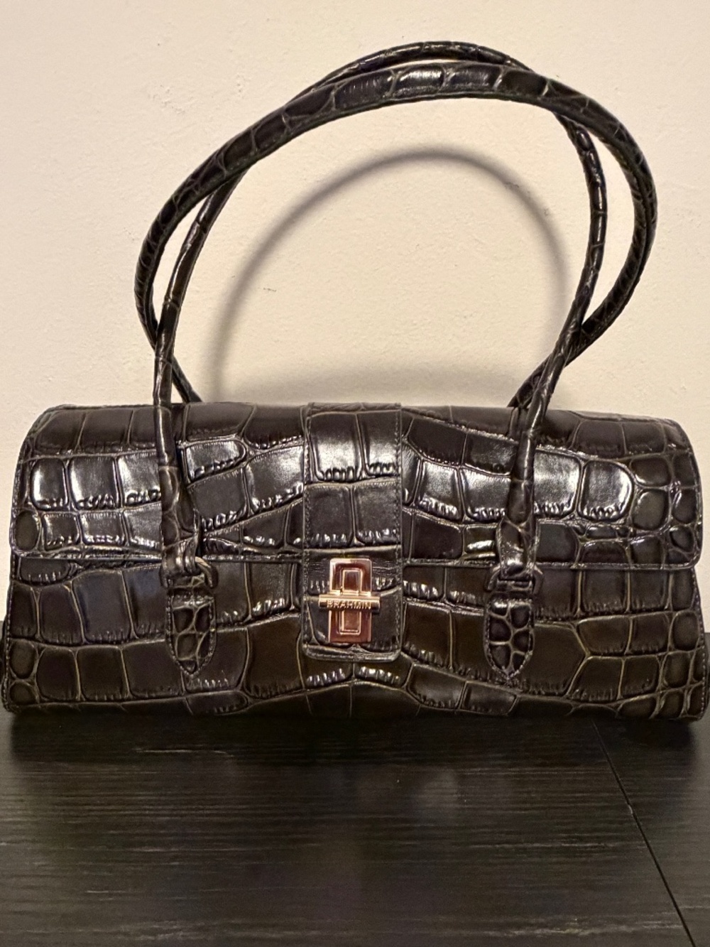 Brahmin Dayan Satchel in Matcha Green Baize — EUC Rare Mint Condition